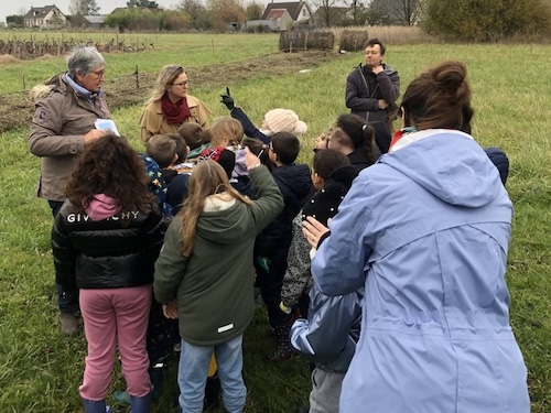 plantation d'une haie