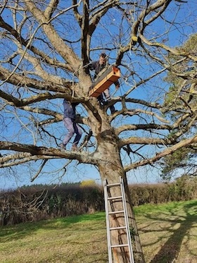 photo d'installation de nichoir