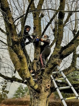 photo d'installation d'un nichoir