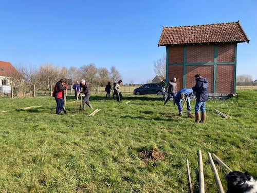 plantation d'un verger